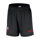 Chicago Bulls Men's Nike NBA Mesh Shorts 'Black'