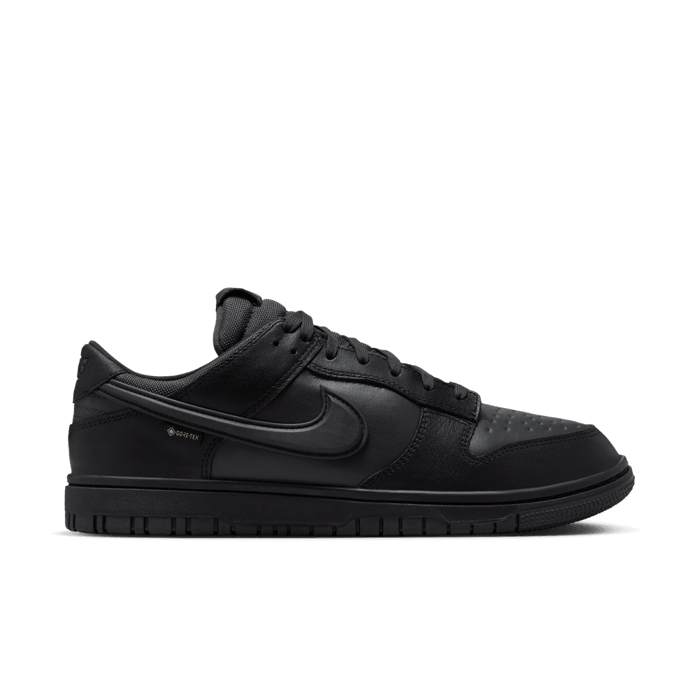 Nike Dunk Low GORE-TEX Men's Shoes 'Black/Anthracite'