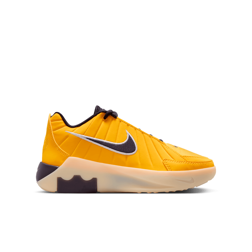 LeBron James LeBron Witness 9 Big Kids' Basketball Shoes (GS) 'Amarillo/Purple'