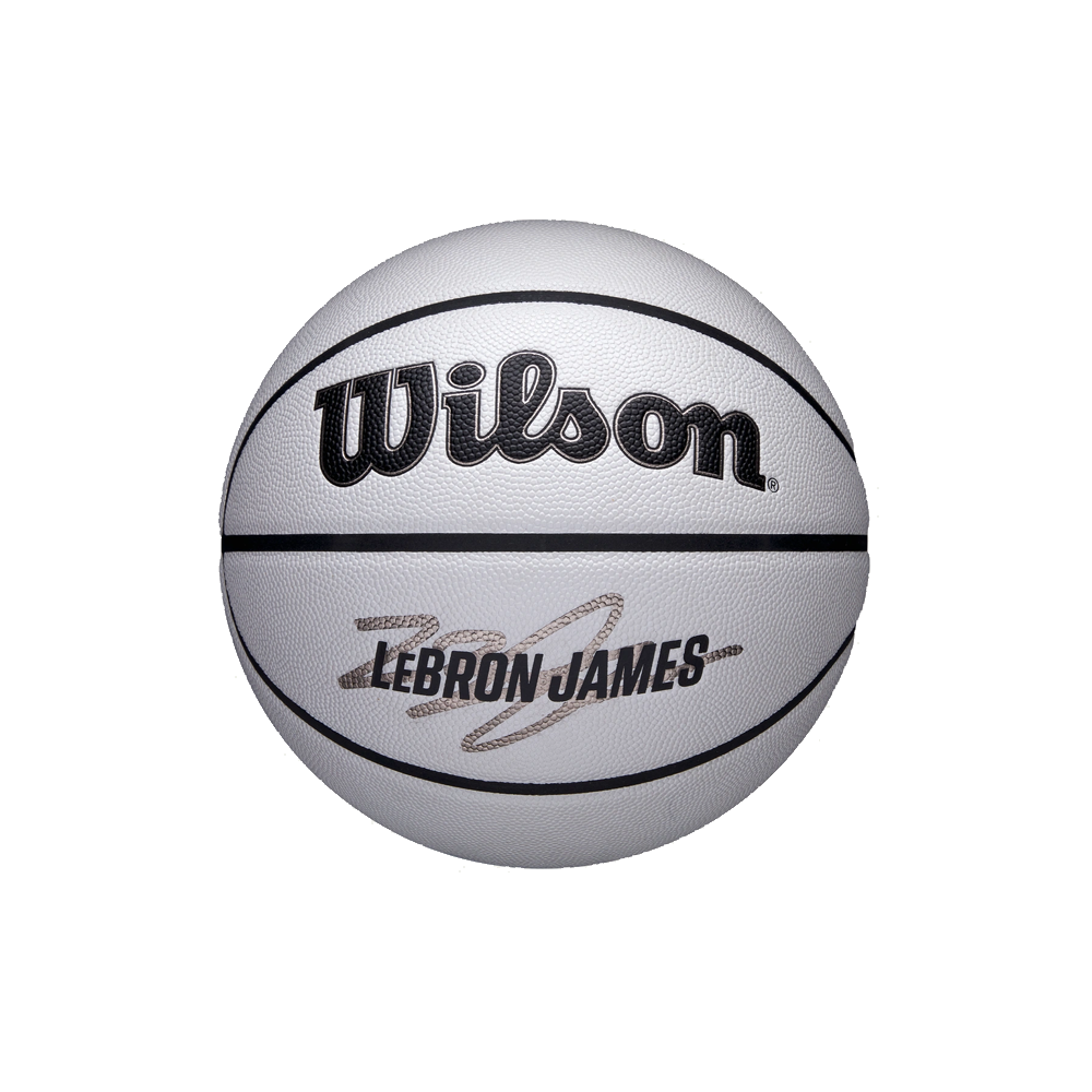 Wilson Lebron NBA Player Icon UV Basketball