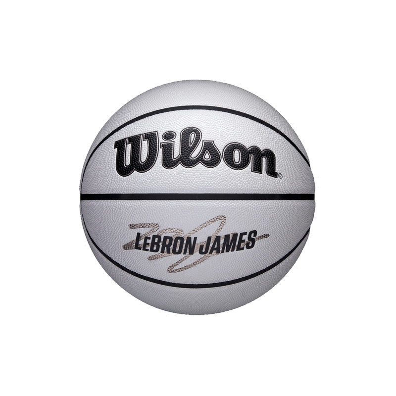 Wilson Lebron NBA Player Icon UV Basketball