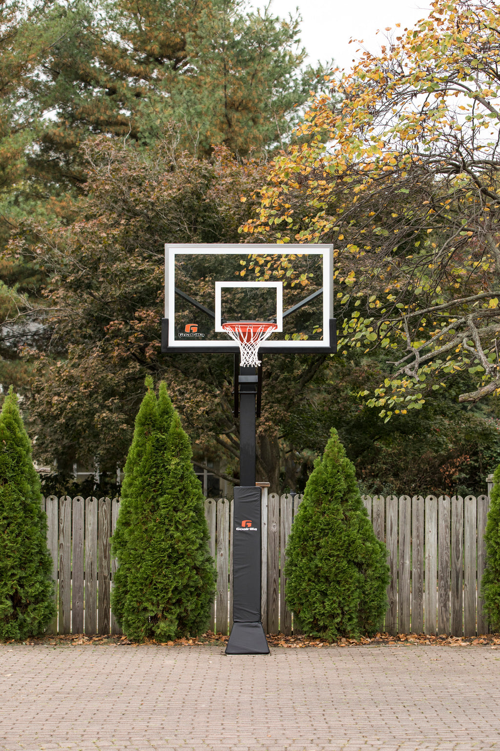 Goalrilla CV60 basketball hoop - inground
