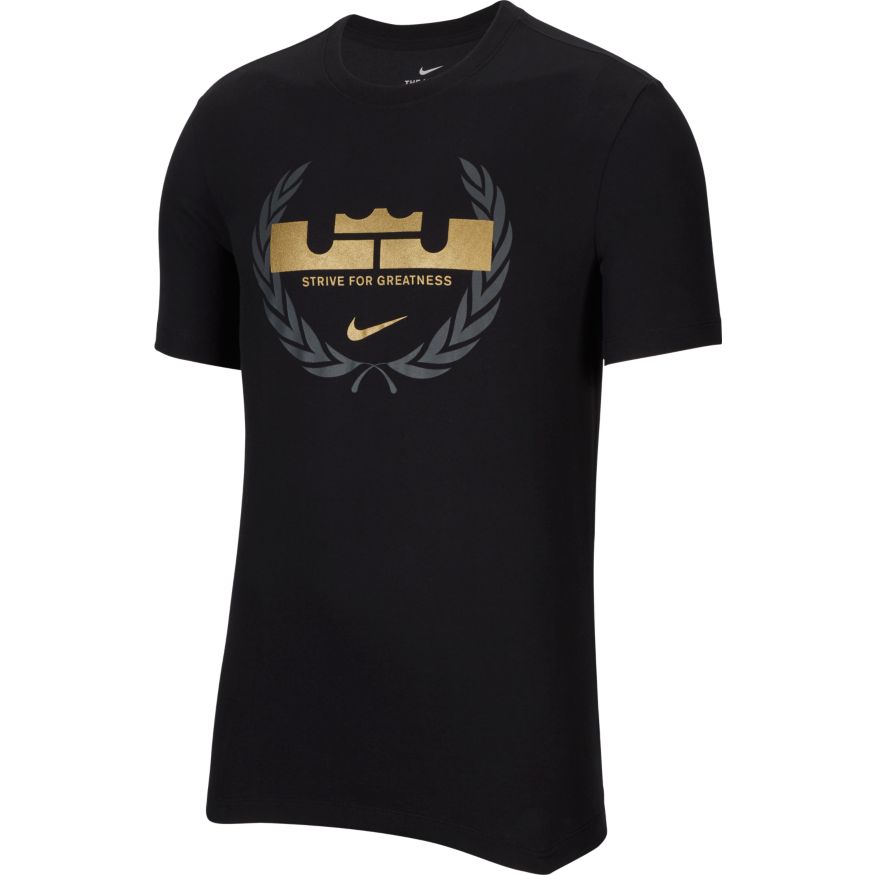 Nike Dri-FIT LeBron Logo Men's Basketball T-Shirt 'Black' – Bouncewear