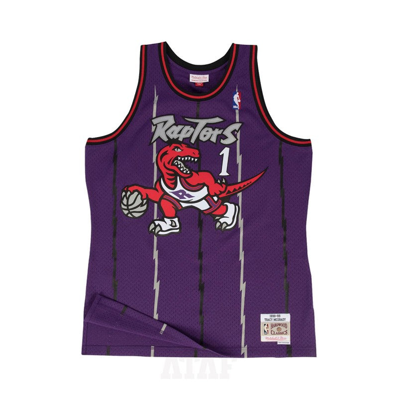 Mitchell & Ness NBA Swingman Jersey Toronto Raptors "Tracy Mc Grady" 'Purple/White'
